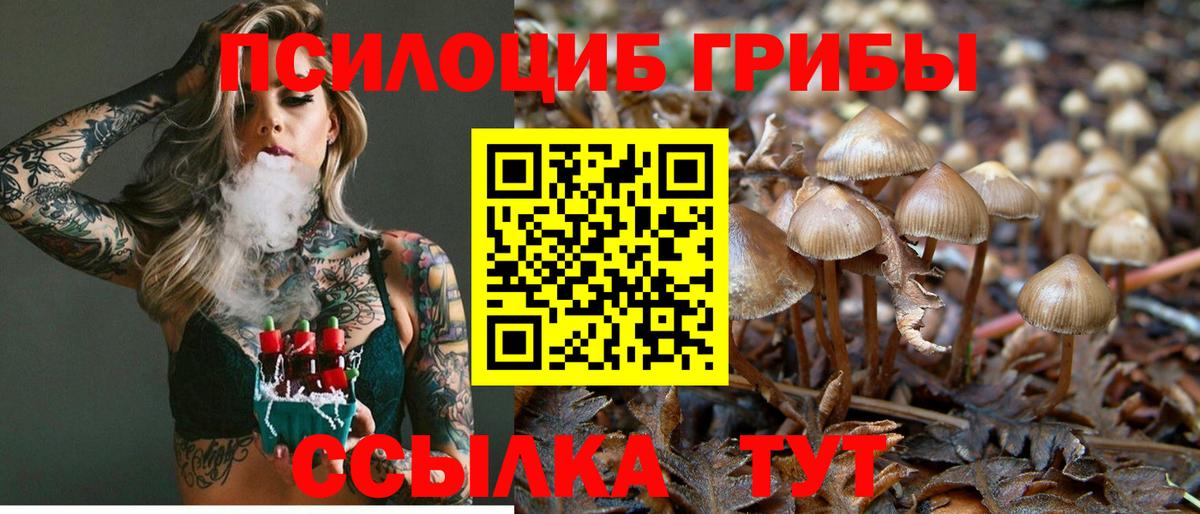 Псилоцибиновые грибы Cubensis  Псилоцибиновые грибы MAGIC MUSHROOMS  Вход с VPN  Советск 